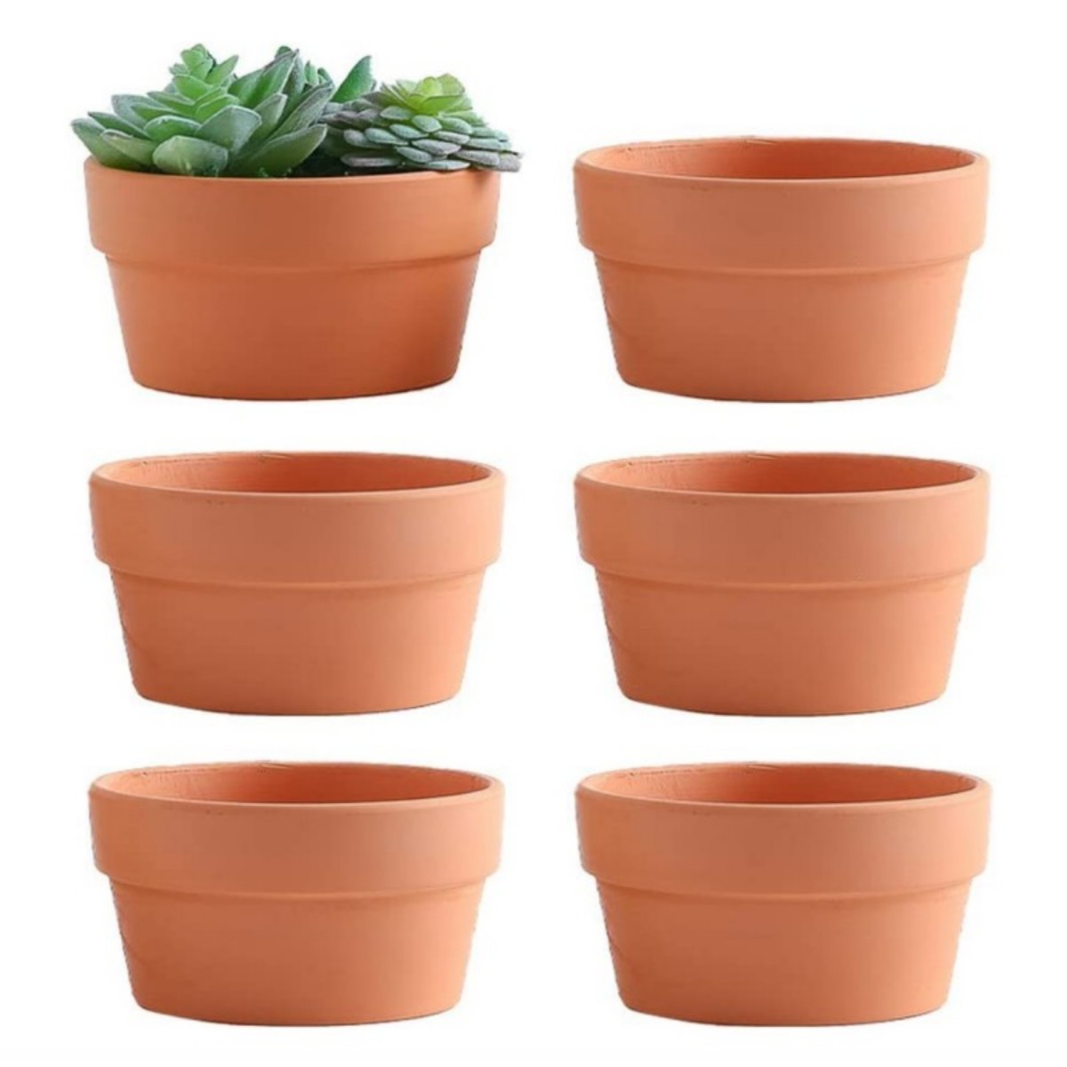 Aloe Vera Pot - 6 pezzi vasi in terracotta da