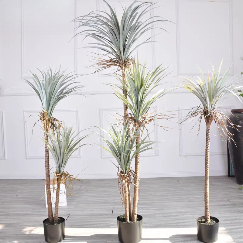 Dracaena Marginata - Sangue di drago Yucca Pianta artificiale