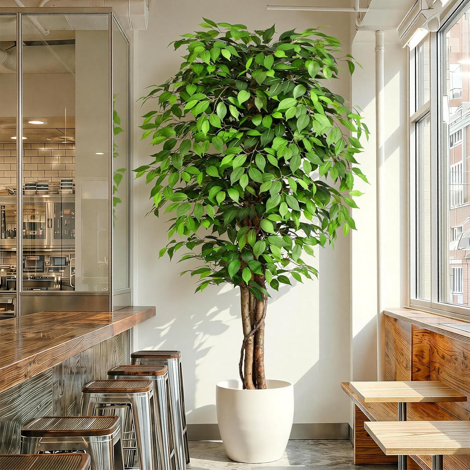 Dracaena Marginata - Albero di Ficus Artificiale Realistico con