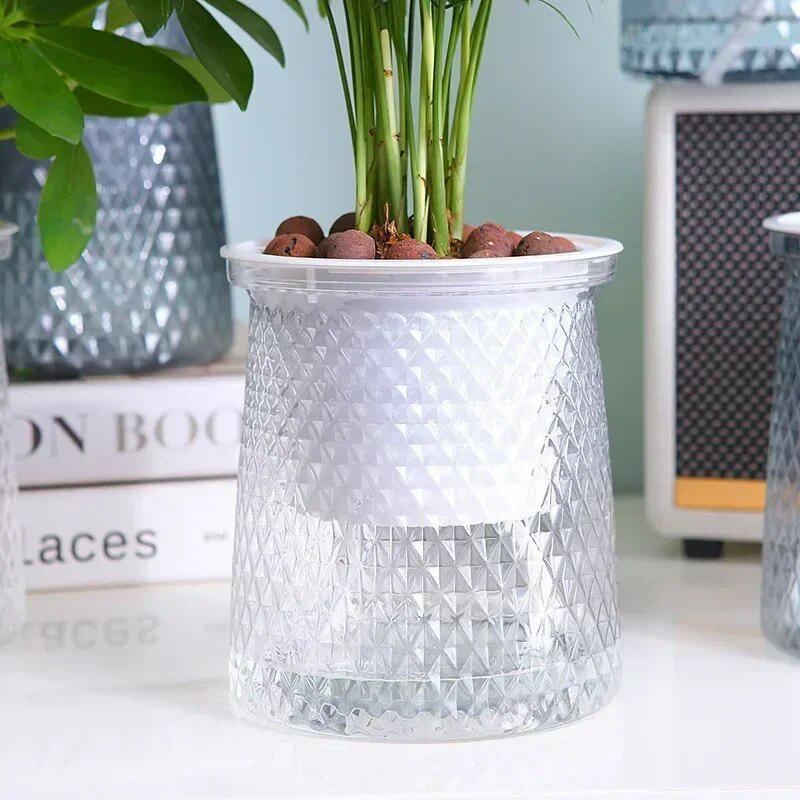 Aloe Vera Pot - 2024 Vaso da fiori trasparente con