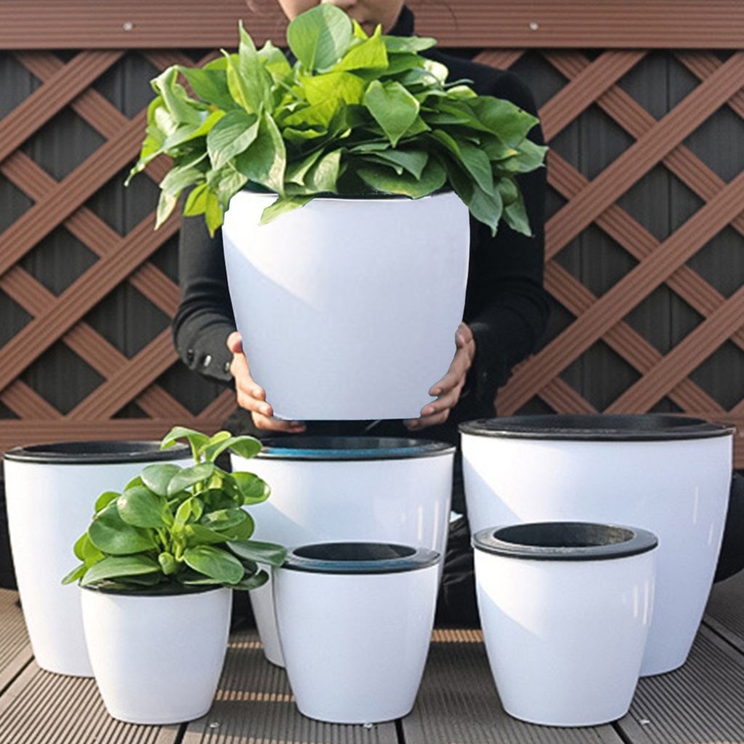 Aloe Vera Pot - Irrigazione automatica piante da fiore vaso