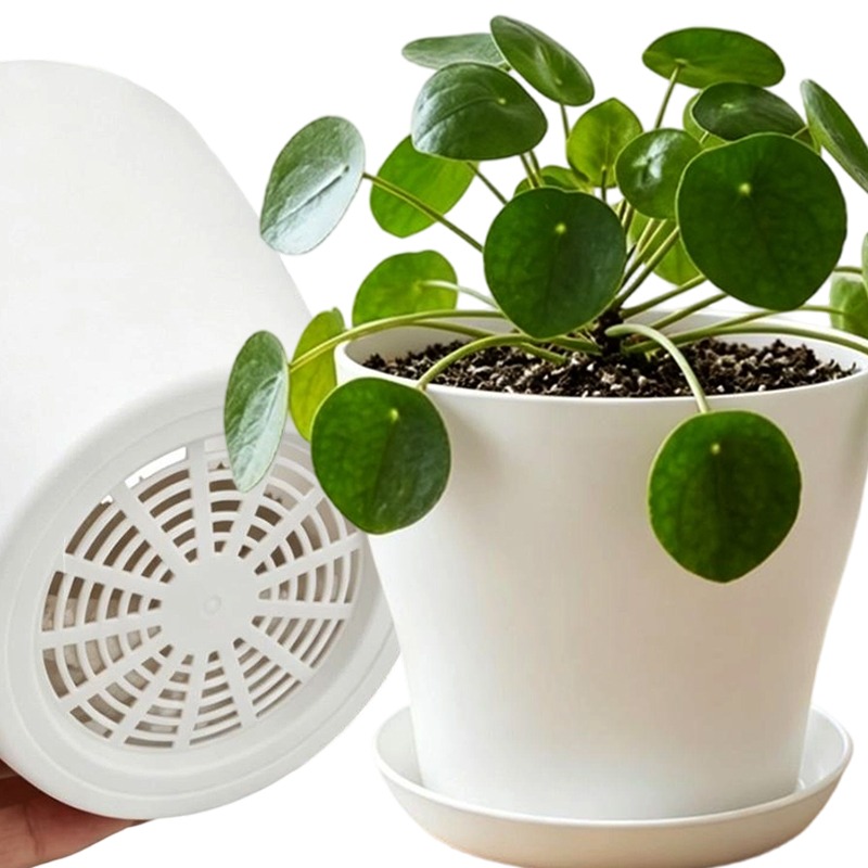 Aloe Vera Pot - Set di Vasi per Piante con