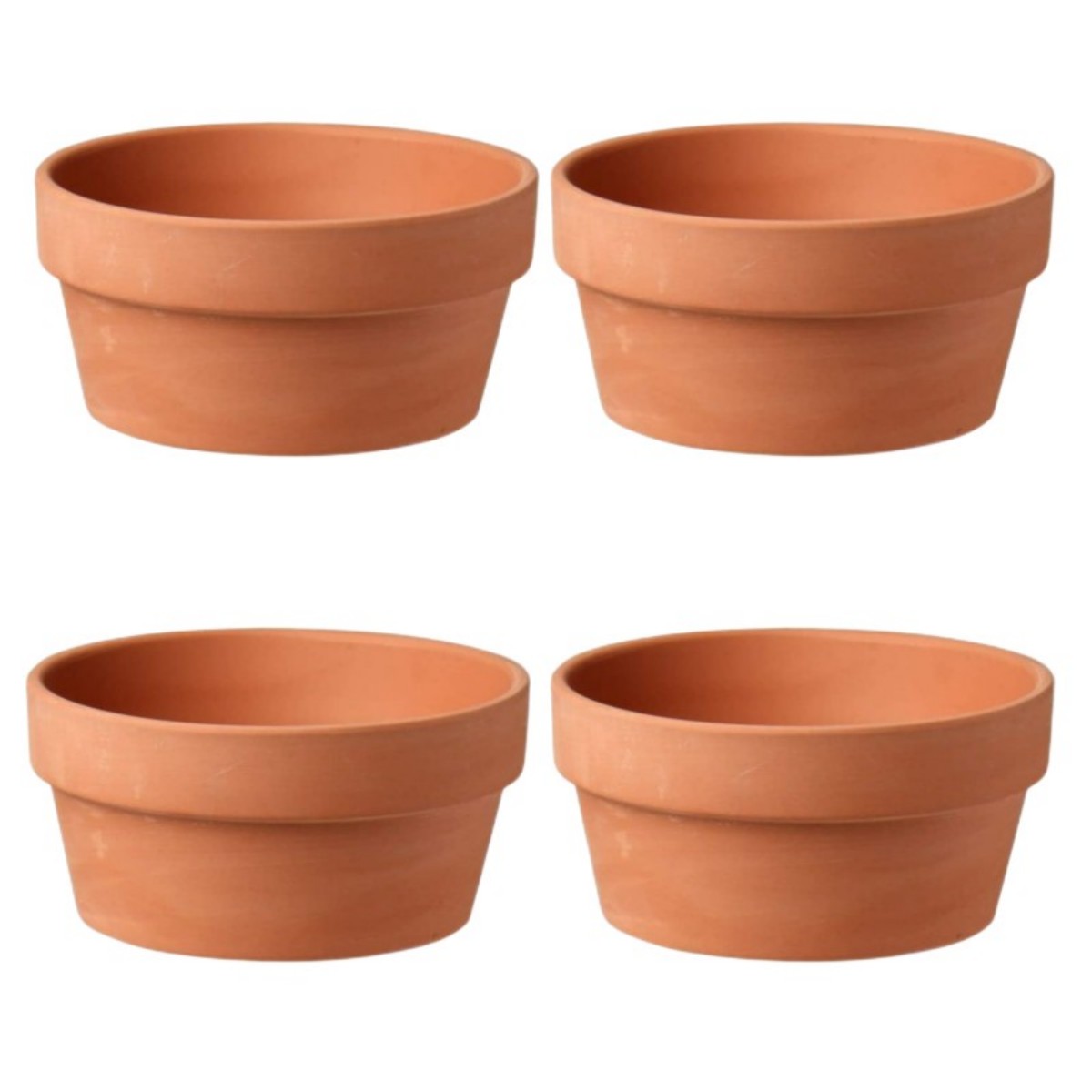 6 pezzi vasi in terracotta da  - Aloe Vera Pot recensione e prezzo