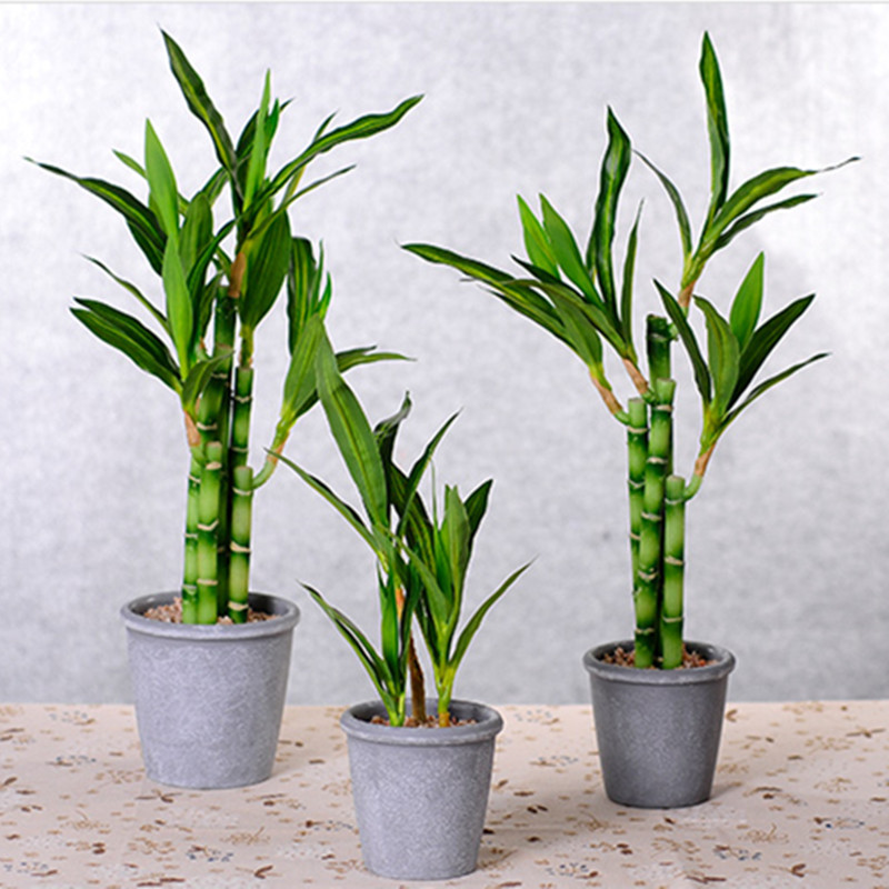 Nuova Pianta Artificiale di Ba - Dracaena Marginata recensione e prezzo