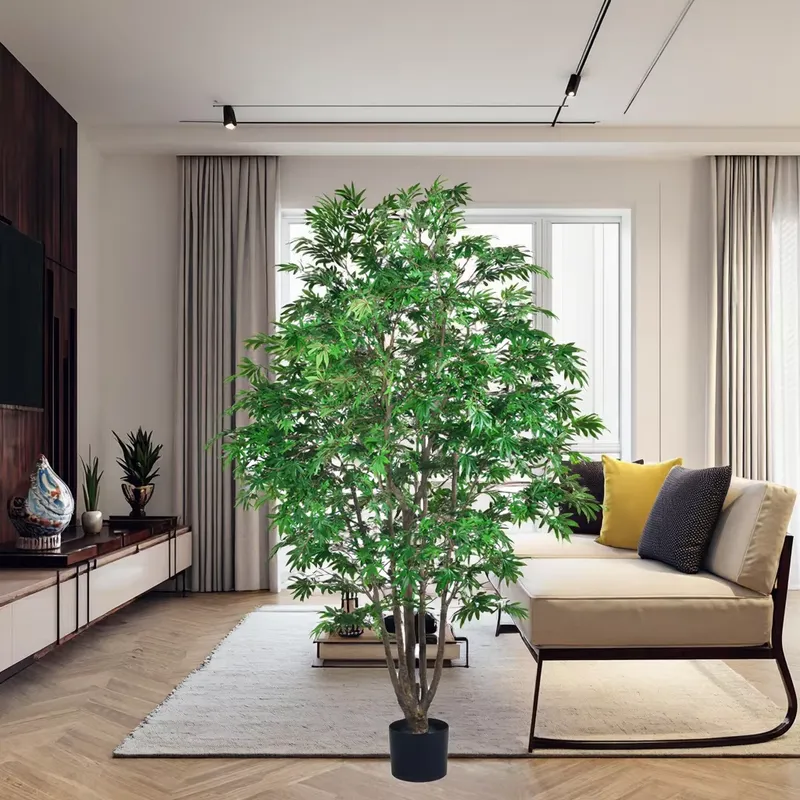 Albero di Acero Verde Artifici - Dracaena Marginata recensione e prezzo