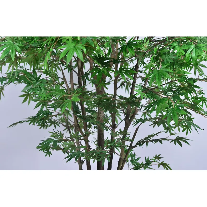 Albero di Acero Verde Artifici - Dracaena Marginata recensione e prezzo