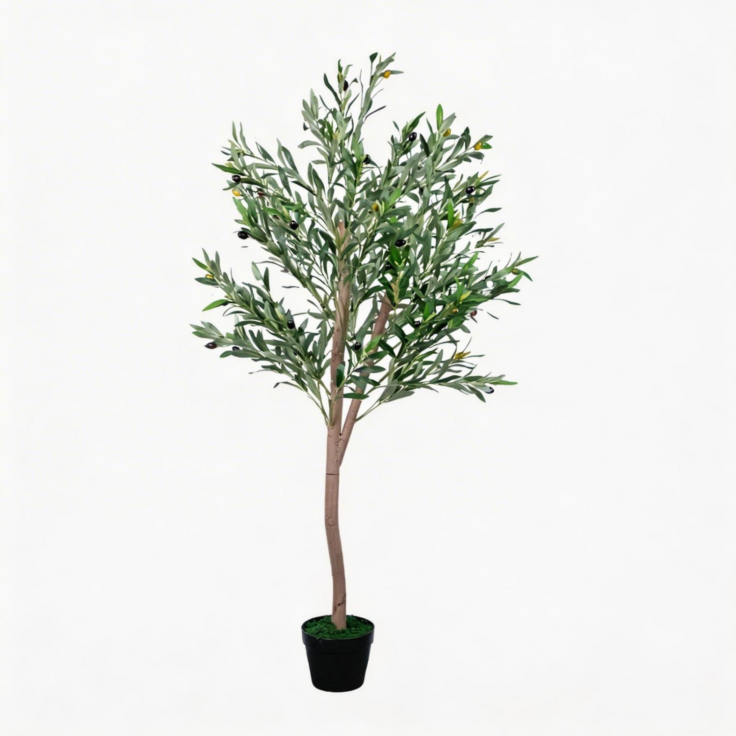 Albero di Ulivo Artificiale 5F - Dracaena Marginata recensione e prezzo