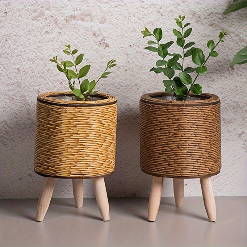Affascinante fioriera rustica  - Aloe Vera Pot recensione e prezzo