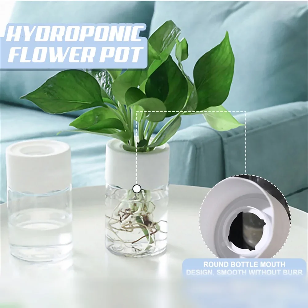 Mini Vaso Idroponico Trasparen - Aloe Vera Pot recensione e prezzo