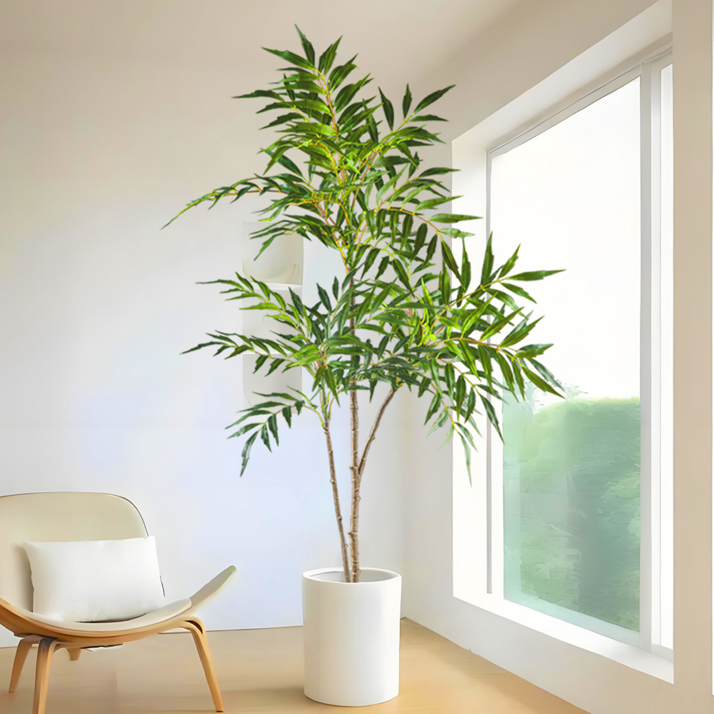78-140 cm Grandi Piante Nandin - Dracaena Marginata recensione e prezzo