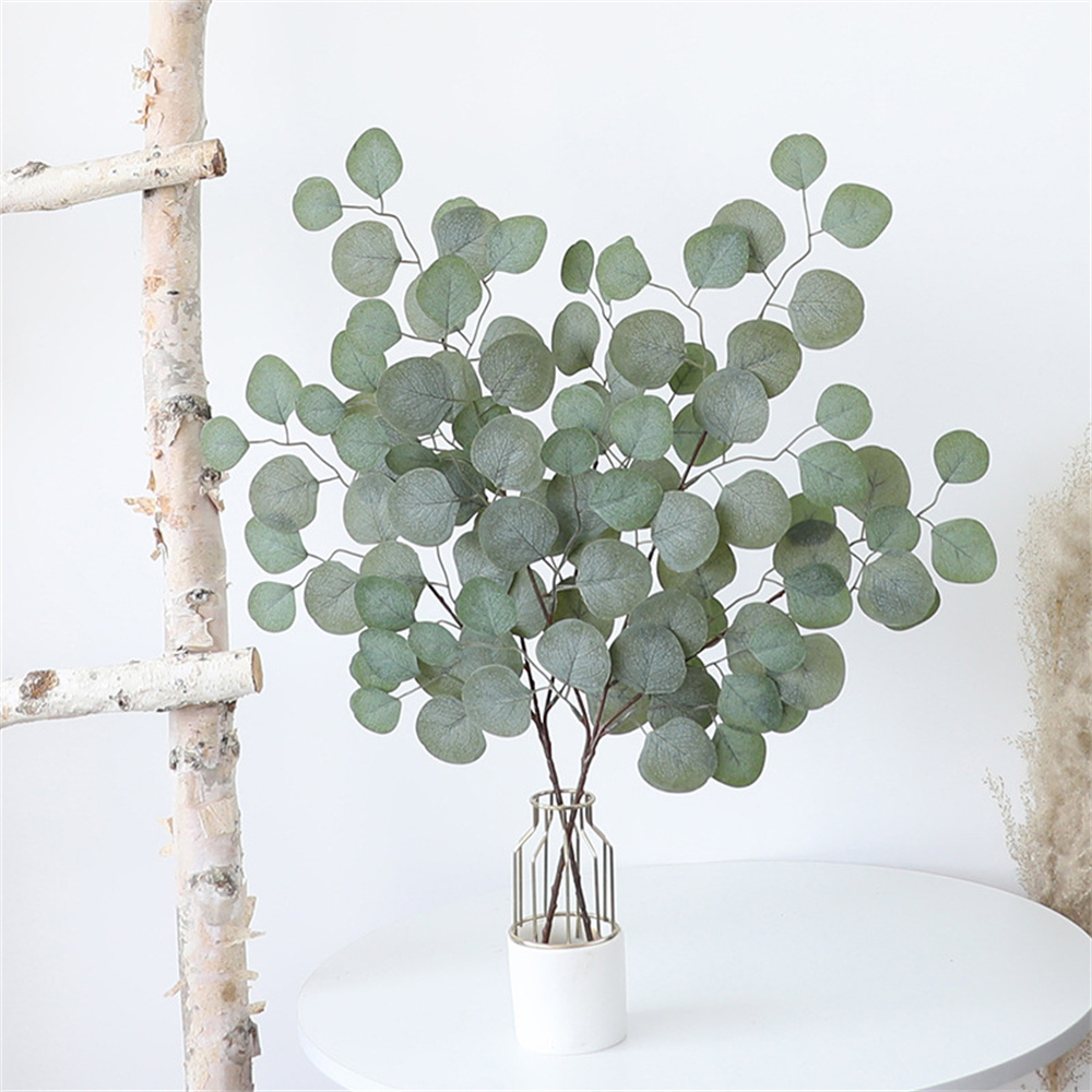 Foglia di eucalipto vite piant - Dracaena Marginata recensione e prezzo