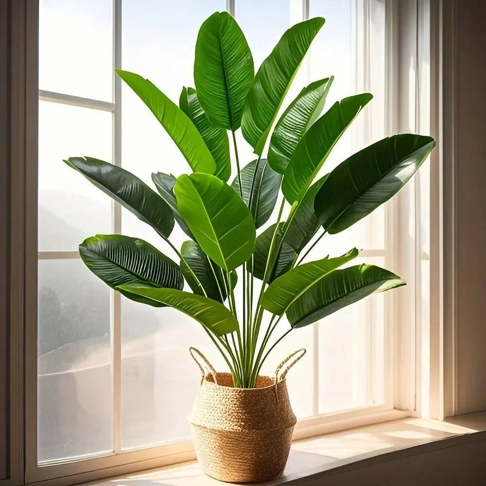 1 pz 18 Foglie Piante Artifici - Monstera Adansonii recensione e prezzo