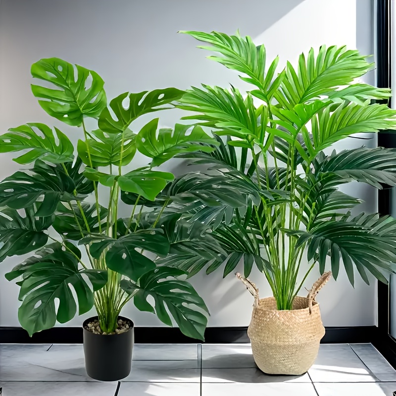 2 pezzi verdi 24 foglie di pia - Monstera Adansonii recensione e prezzo