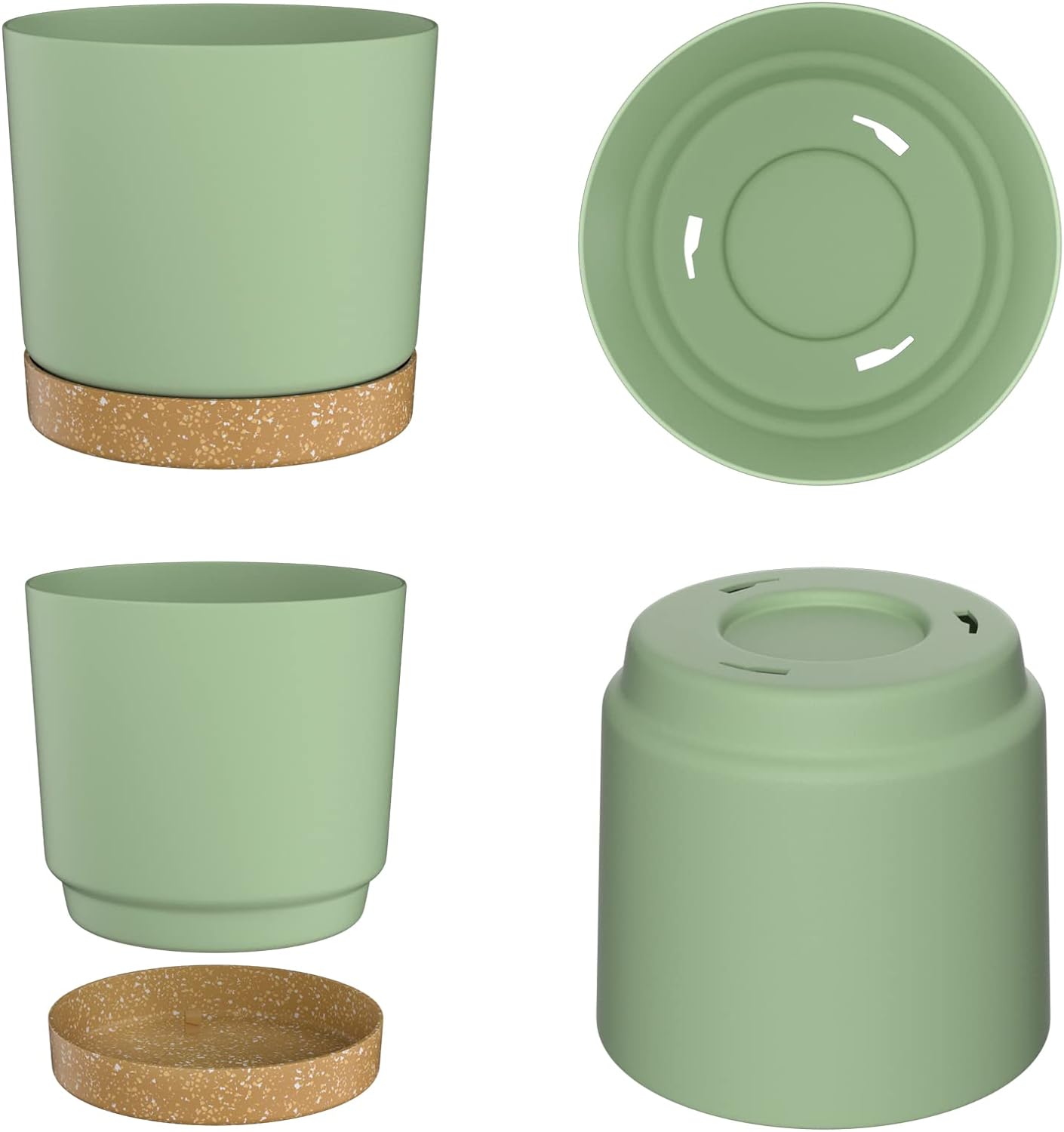 Vasi per piante, vasi grandi e - Aloe Vera Pot recensione e prezzo