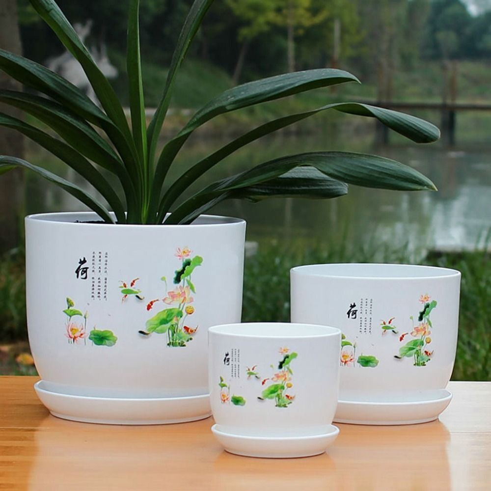Vaso per Fiori Extra Large in  - Aloe Vera Pot recensione e prezzo